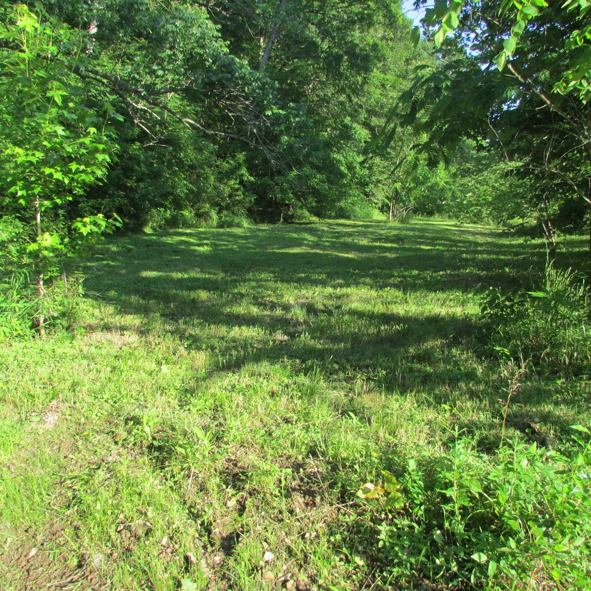 8655 Dry Creek Road Mount Pleasant, TN 38474 - Photo 8 of 16 Gallery Image 8