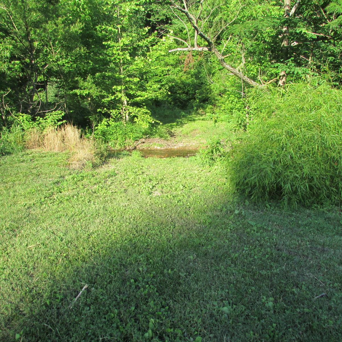 8655 Dry Creek Road Mount Pleasant, TN 38474 - Photo 9 of 16 Gallery Image 9