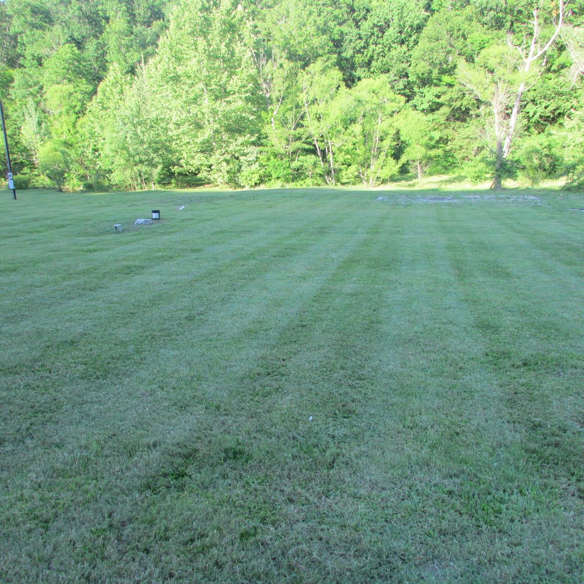 8655 Dry Creek Road Mount Pleasant, TN 38474 - Photo 10 of 16 Gallery Image 10