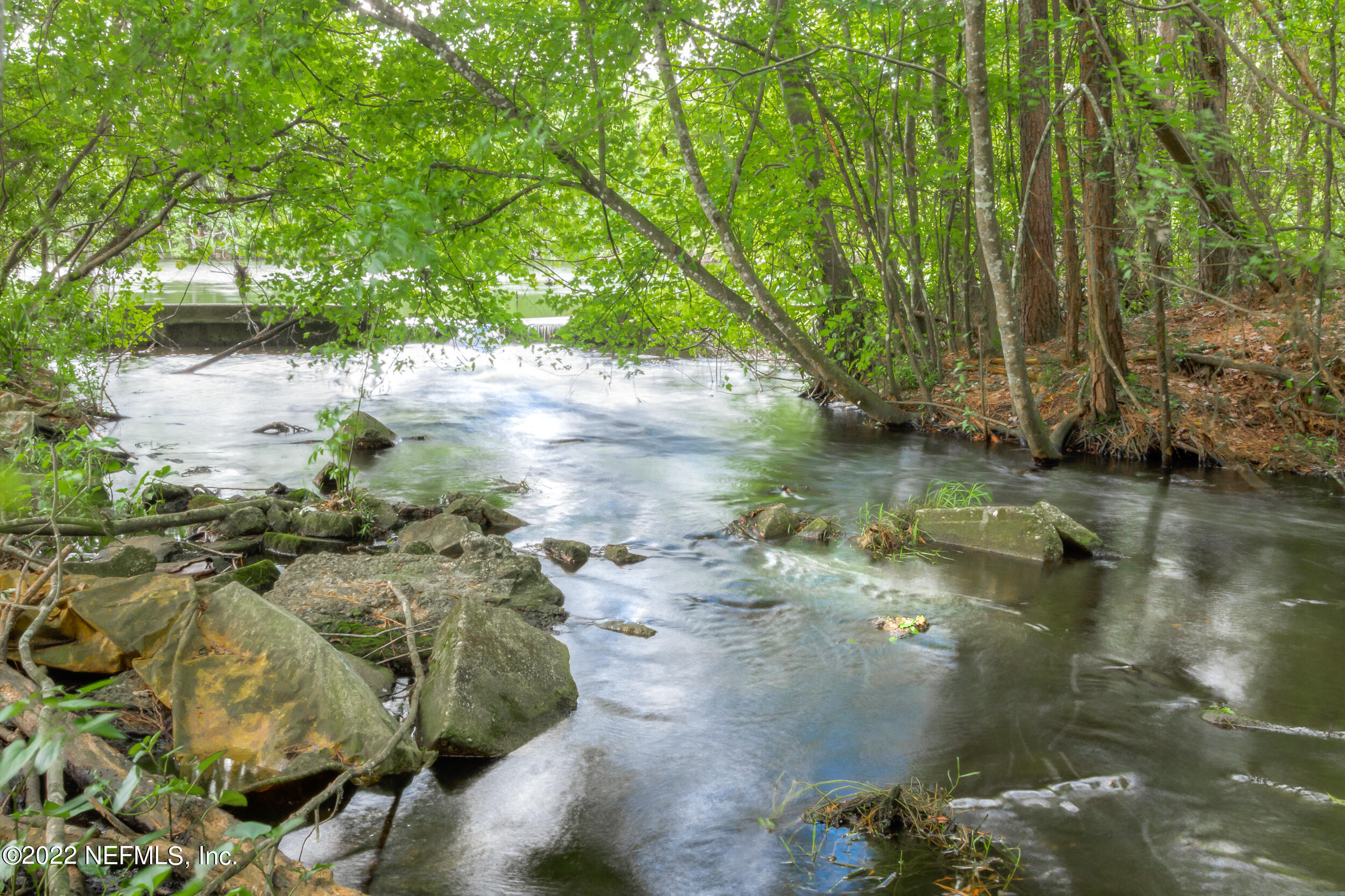 1304 Paradise Pond Road St. Augustine, FL 32092 - Photo 45 of 48 a view of water pond with green space