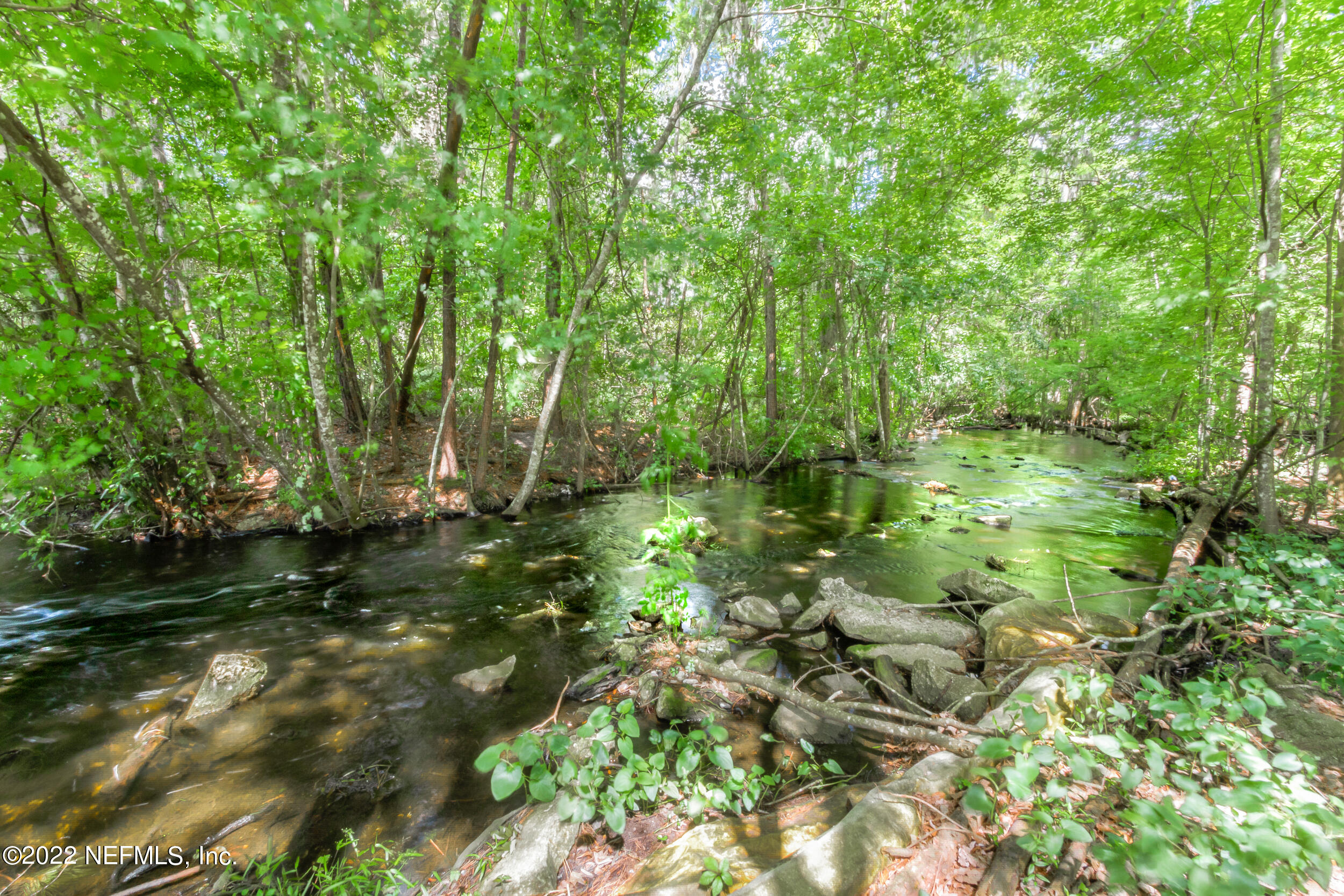 1304 Paradise Pond Road St. Augustine, FL 32092 - Photo 46 of 48 a view of a forest