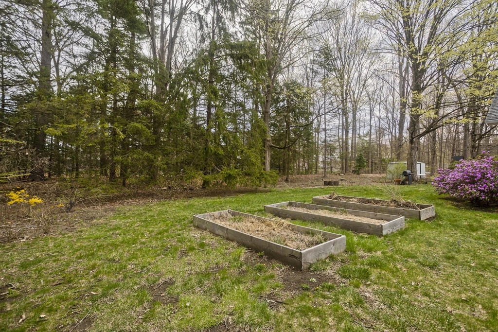 58 Longfellow Road Holyoke, MA 01040 - Photo 8 of 39 a view of a park with large trees