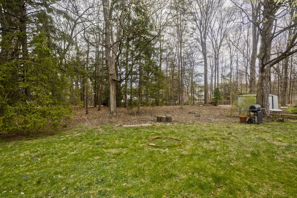 58 Longfellow Road Holyoke, MA 01040 - Photo 9 of 39 a view of yard with trees
