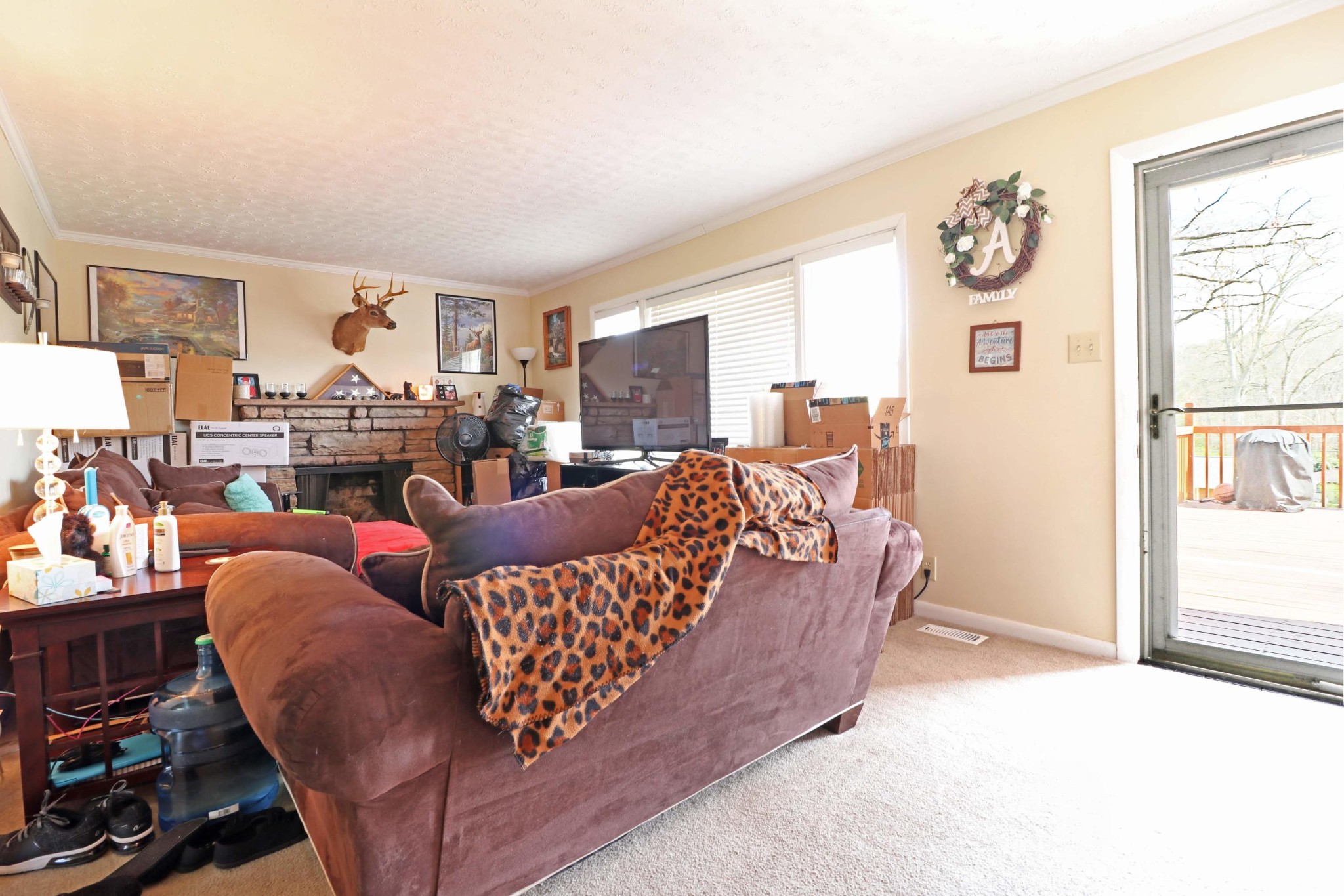 314 Foust Carney Road Powell, TN 37849 - Photo 7 of 14 a living room with furniture fireplace and window