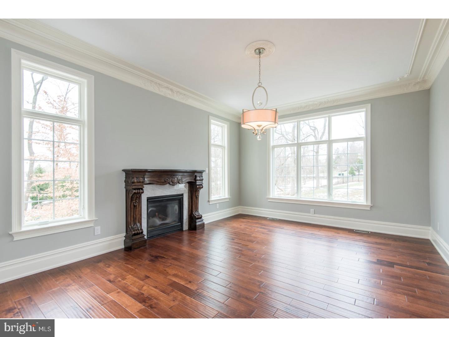 247 Leopard Road Berwyn, PA 19312 - Photo 8 of 25