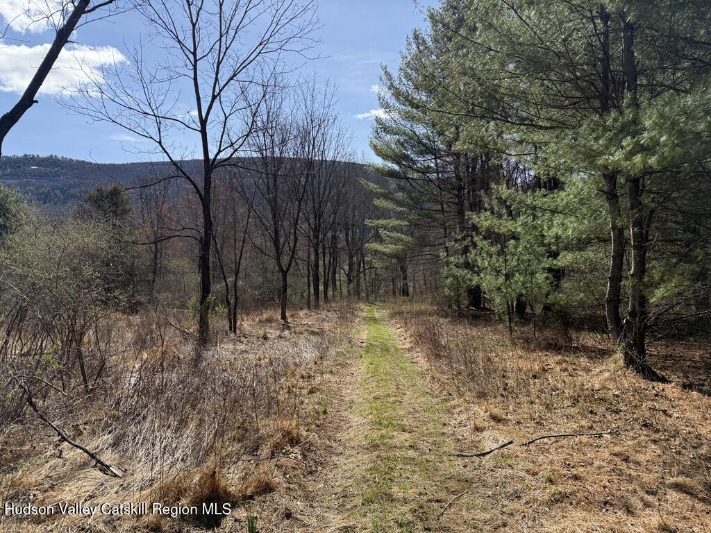 0 McDole Road Ellenville, NY 12428 - Photo 12 of 22 C767612E-E1F6-44DA-A36D-0B254914DE27_1_1