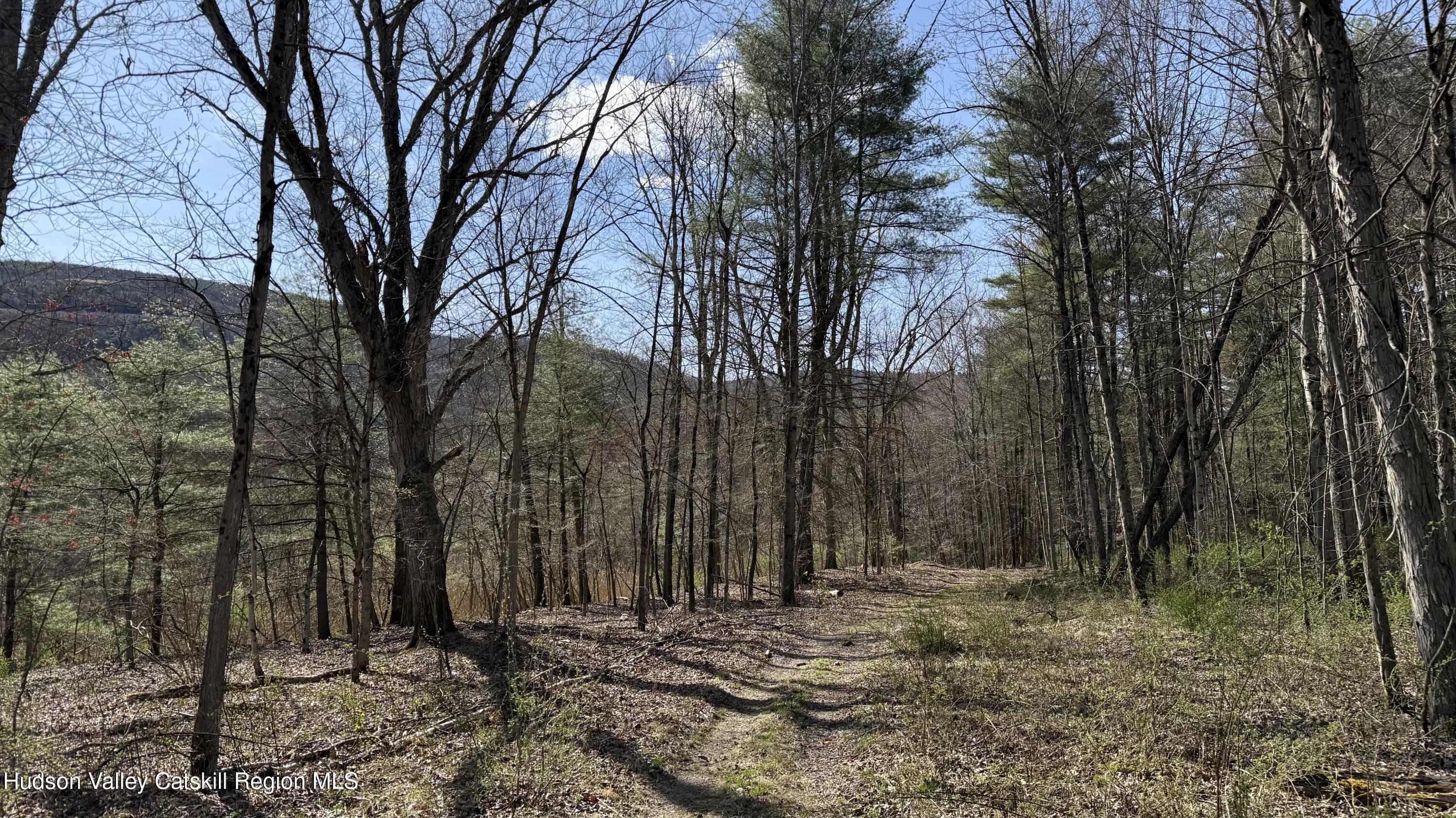 0 McDole Road Ellenville, NY 12428 - Photo 15 of 22 111398DA-06ED-464E-9A43-F33D2E3DBF16