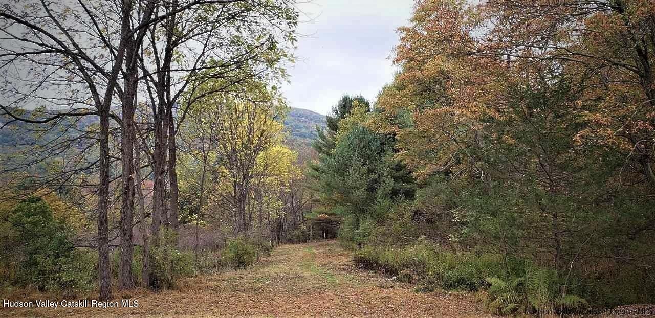0 McDole Road Ellenville, NY 12428 - Photo 17 of 22 3903CFC5-A28F-4A36-A1AA-3793EE90342A_1_2