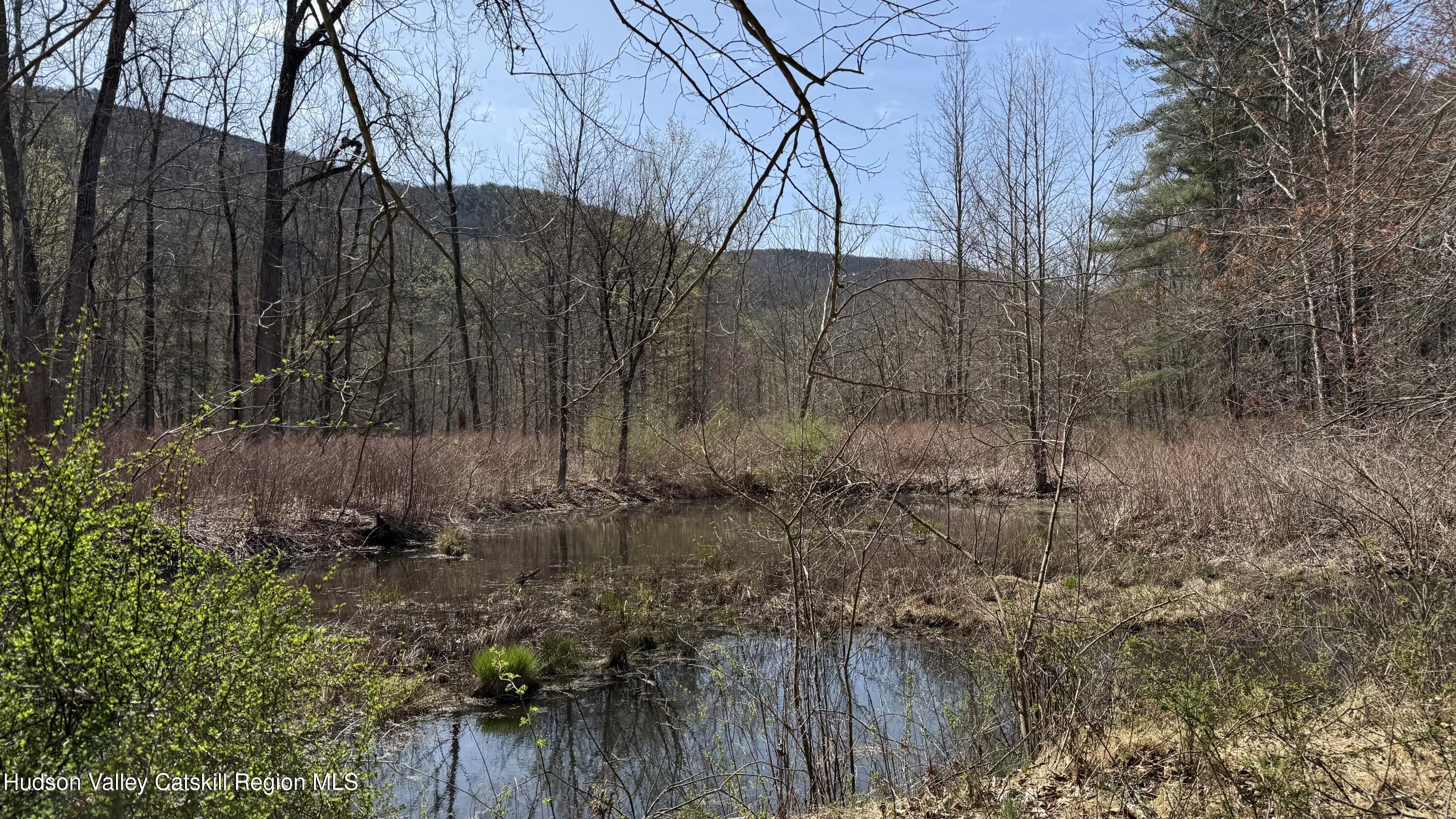 0 McDole Road Ellenville, NY 12428 - Photo 18 of 22 B8E5AEF3-3F74-40CF-8B21-3FEFE0DF897A