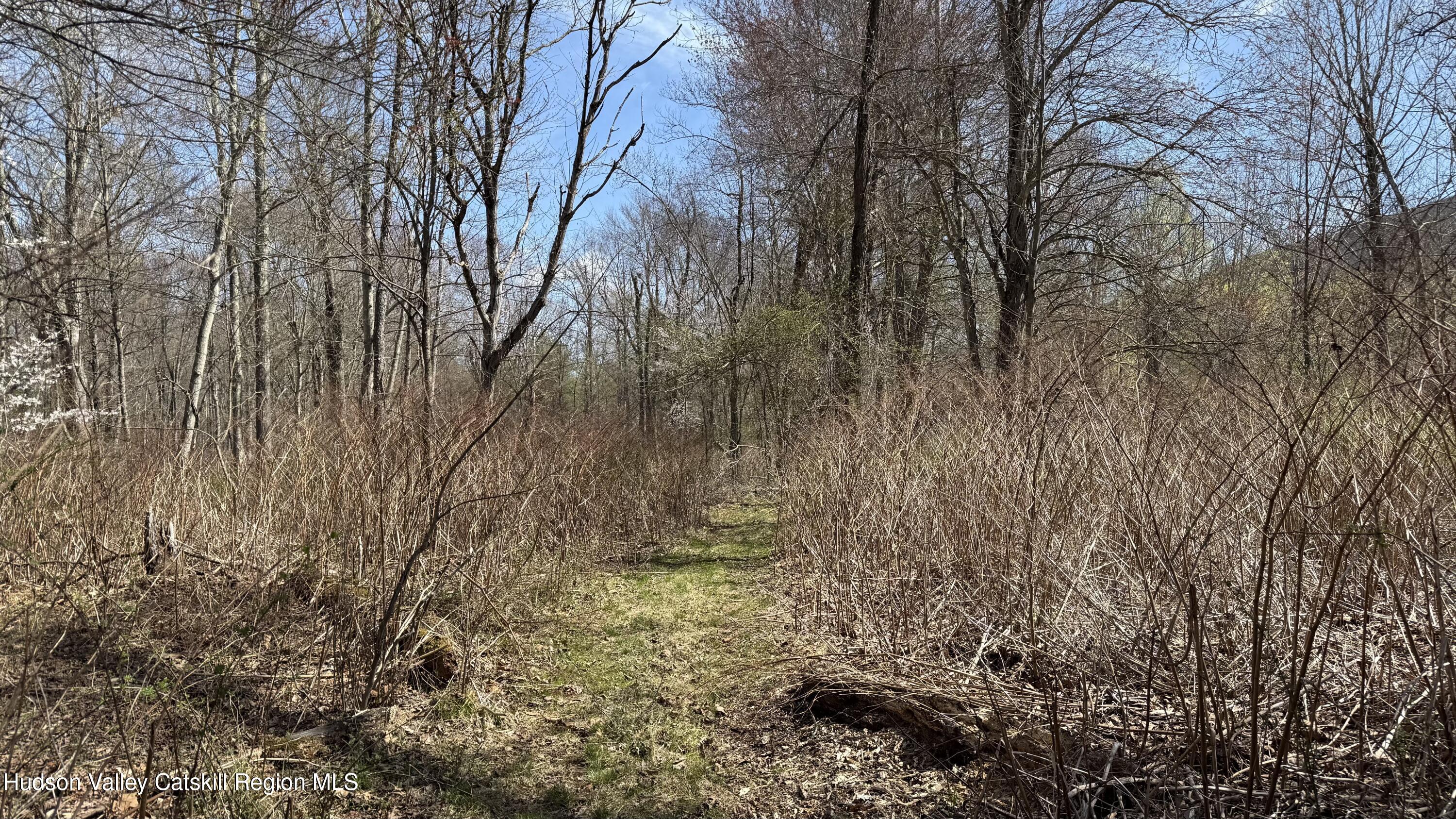 0 McDole Road Ellenville, NY 12428 - Photo 19 of 22 2DF3D601-7314-49BF-91F1-1FA21E508BD4