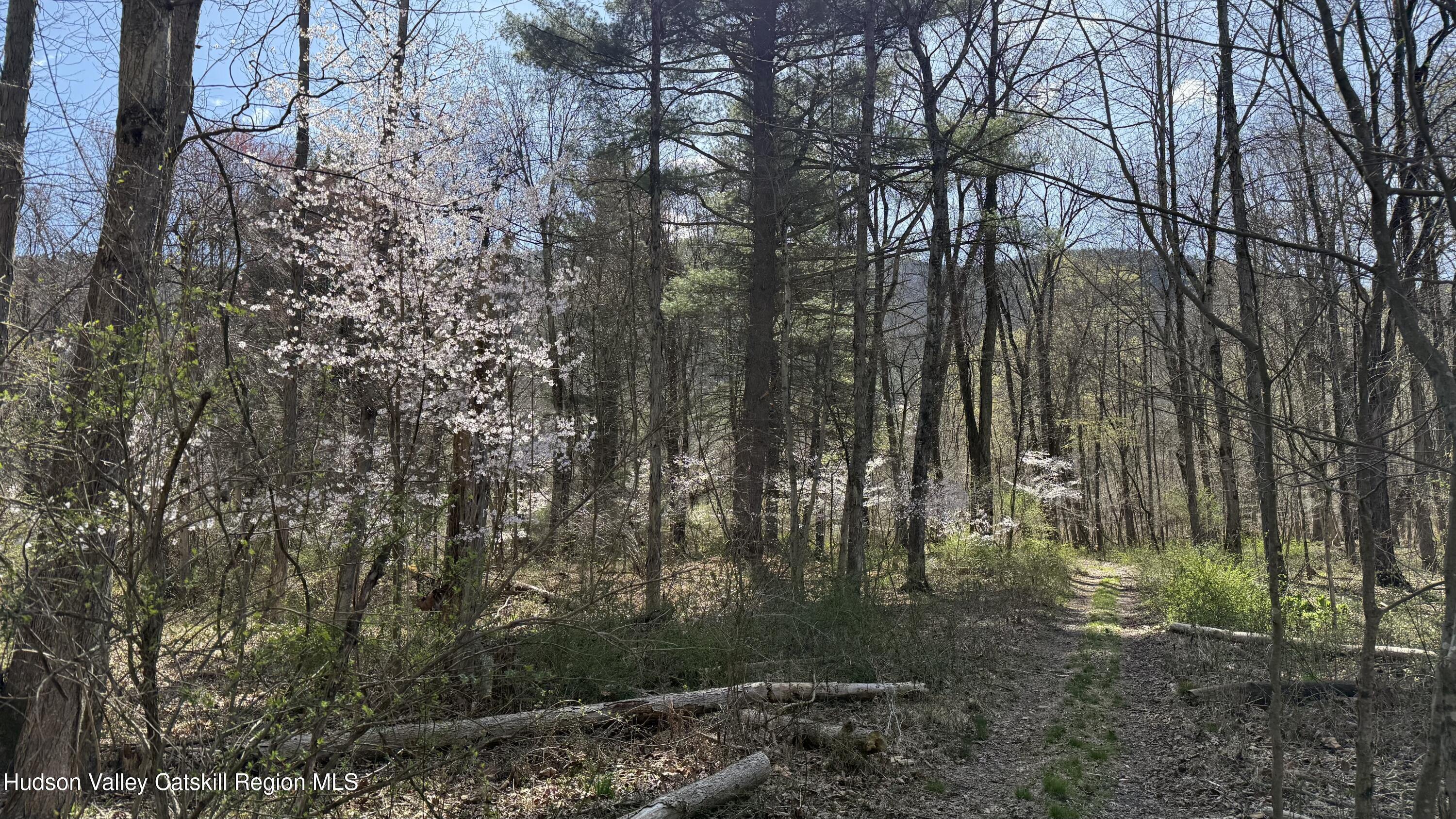 0 McDole Road Ellenville, NY 12428 - Photo 20 of 22 17DD3457-4DA9-4684-8EE0-70EB27149C4C