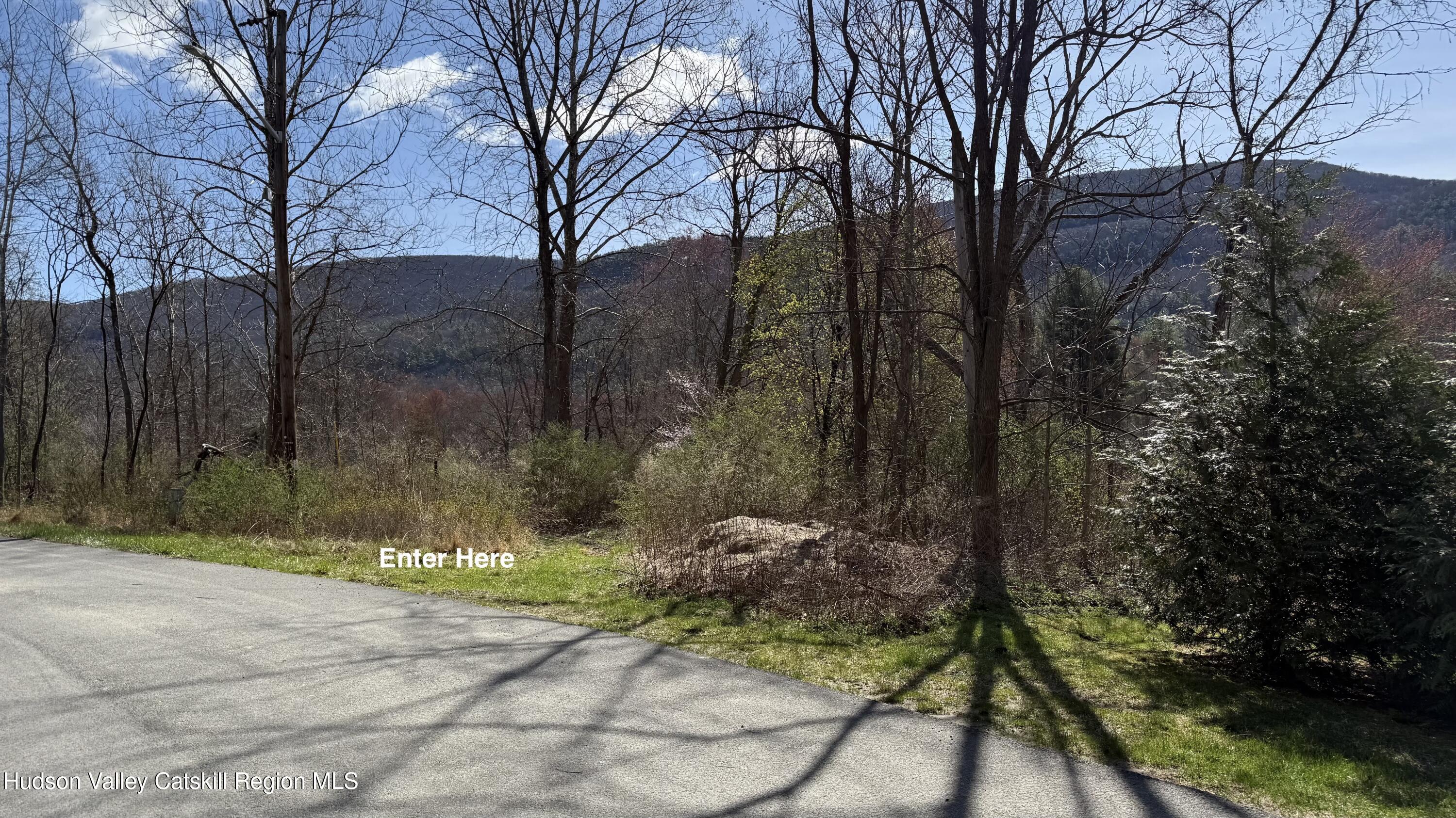0 McDole Road Ellenville, NY 12428 - Photo 2 of 22 2CF049AD-3D55-4035-A9E6-6860233AF5E2