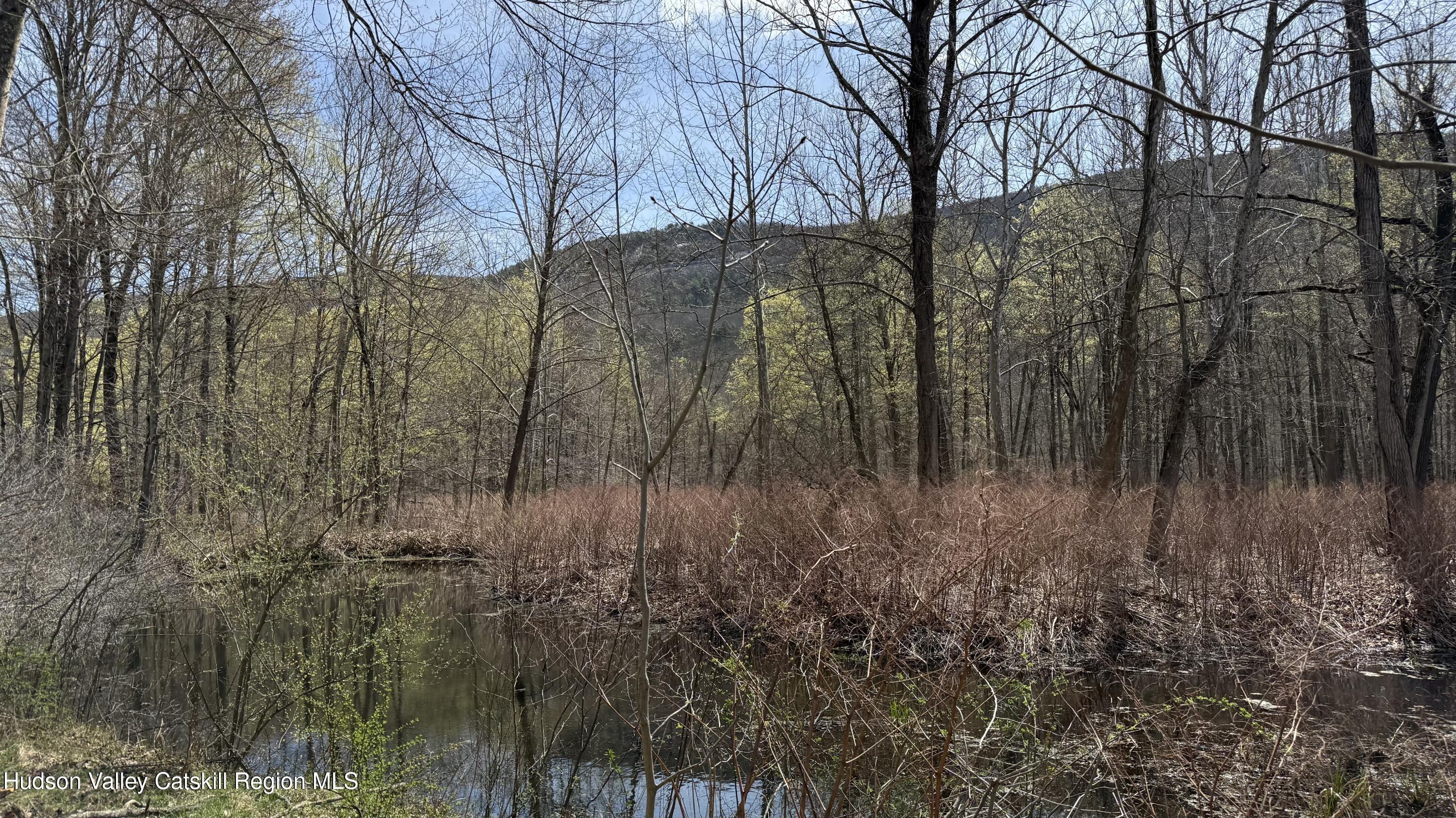 0 McDole Road Ellenville, NY 12428 - Photo 10 of 22 10333B30-A5DB-47F6-9821-FB2A5D5DCB8B