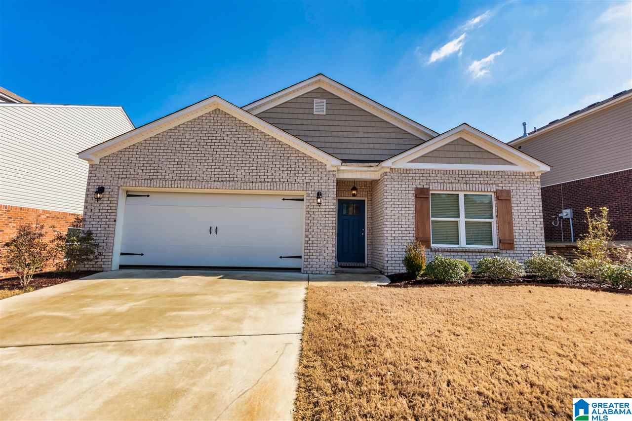 163 Chesser Loop Road Chelsea, AL 35043 - Photo 2 of 43