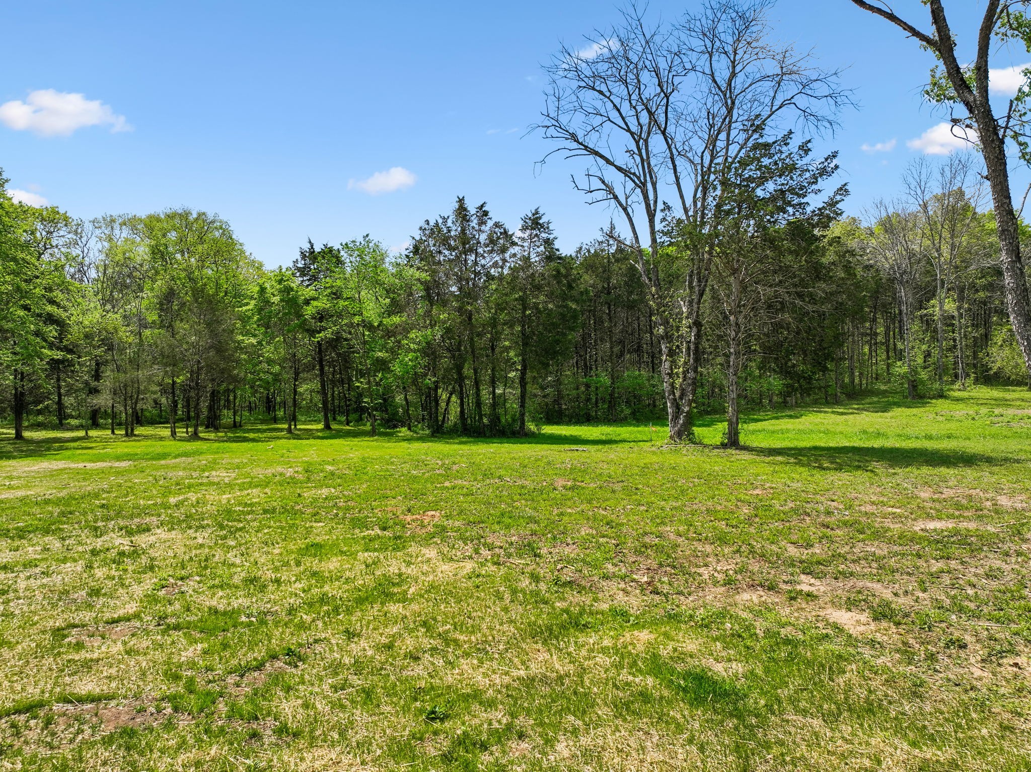 1990 Chicken Road Lebanon, TN 37090 - Photo 46 of 55
