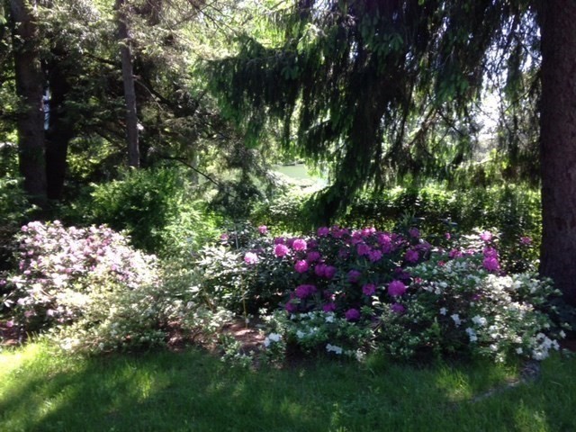 10 Dana Street Amherst, MA 01002 - Photo 37 of 40