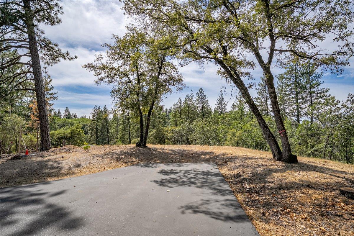 22600 Plumtree Road Colfax, CA 95713 - Photo 9 of 37