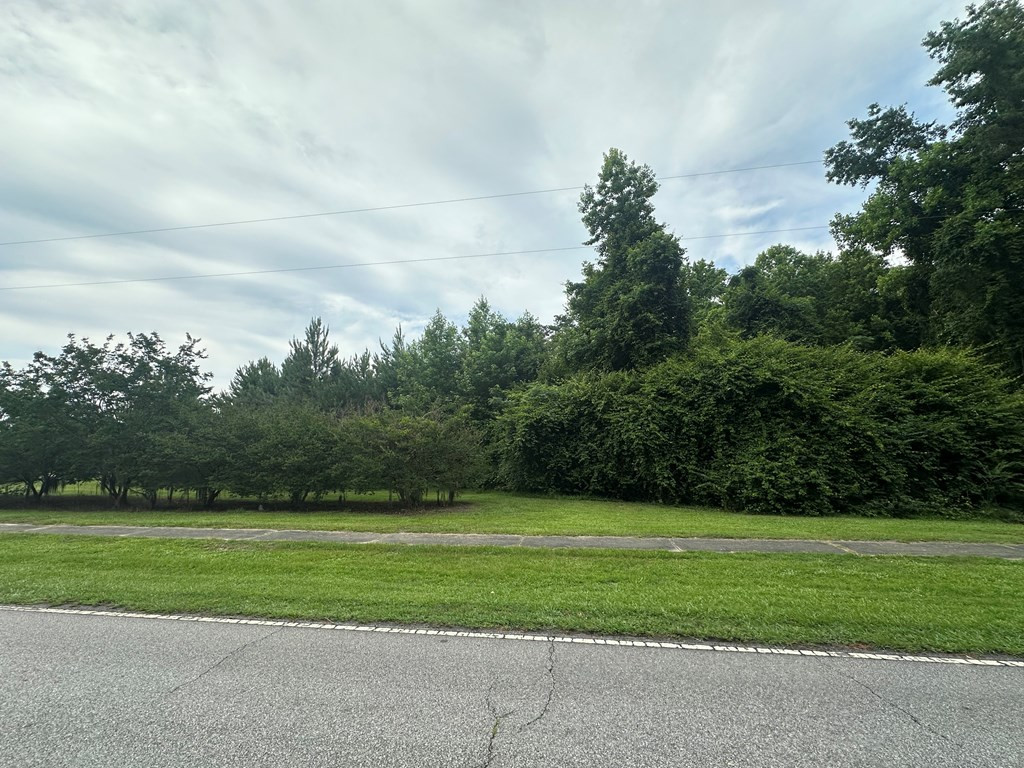 Lot B Atkinson Street Turbeville, SC 29162 - Photo 4 of 5 Gallery Image 4
