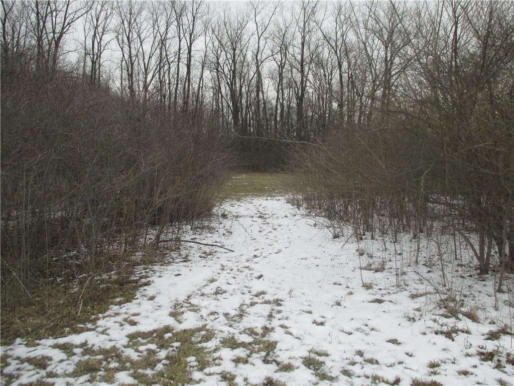 2000 North Country Club Road Muncie, IN 47303 - Photo 5 of 9