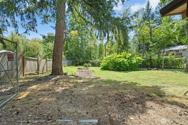 a view of a yard with plants and trees