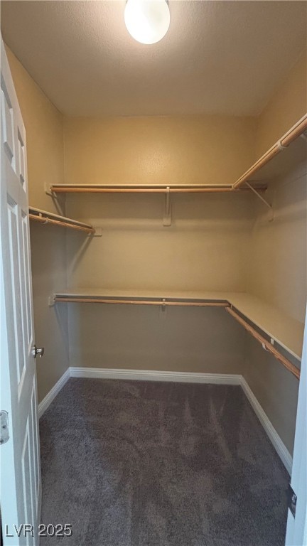 9473 Alma Ridge Avenue Las Vegas, NV 89178 - Photo 32 of 35 Walk in closet with dark colored carpet