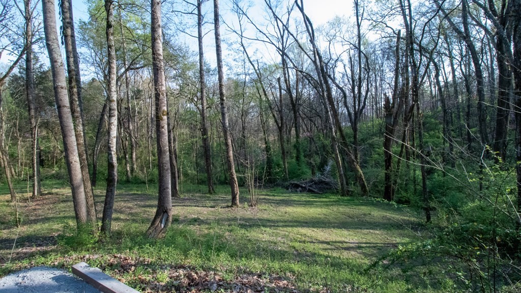 2061 Ranch Road Dandridge, TN 37725 - Photo 14 of 37 Gallery Image 14