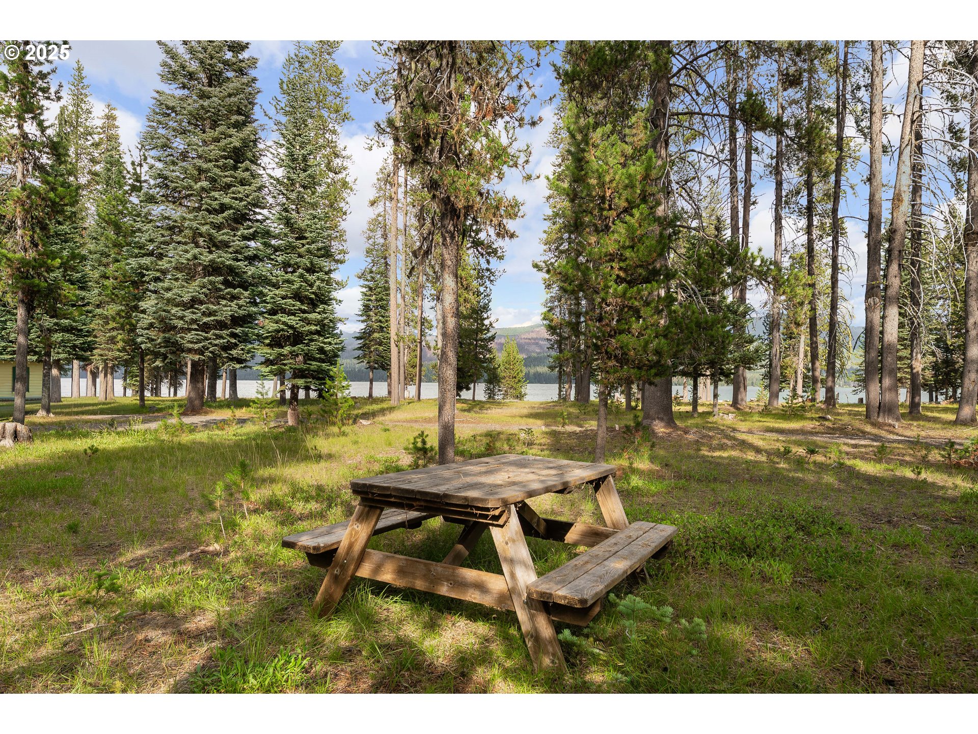 85 Diamond Lake Loop Chemult, OR 97731 - Photo 15 of 40 a view of a park with large trees