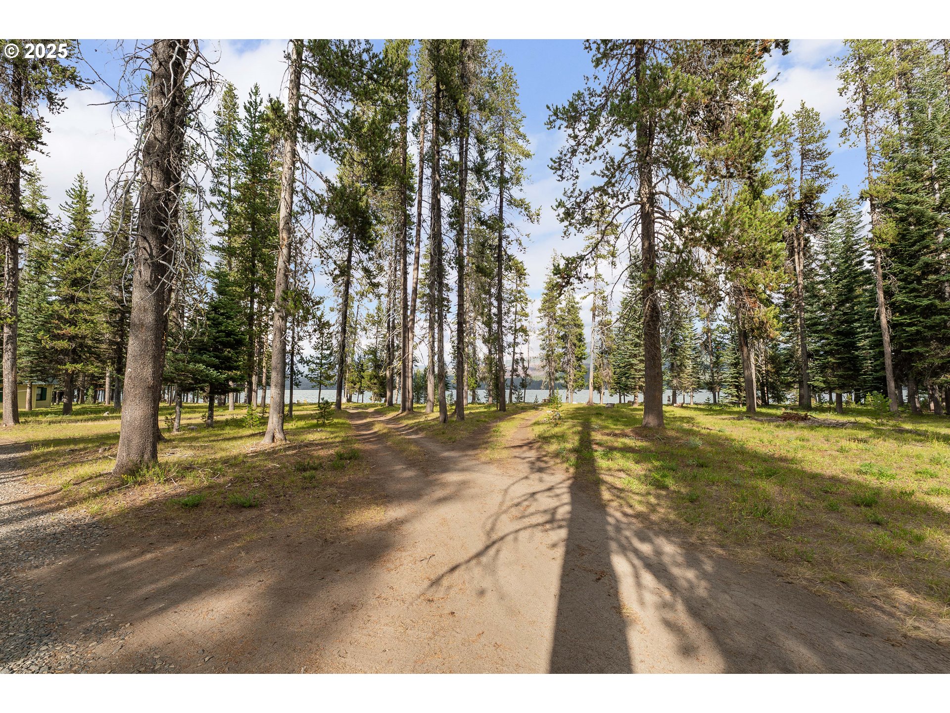 85 Diamond Lake Loop Chemult, OR 97731 - Photo 16 of 40 a view of a yard with trees