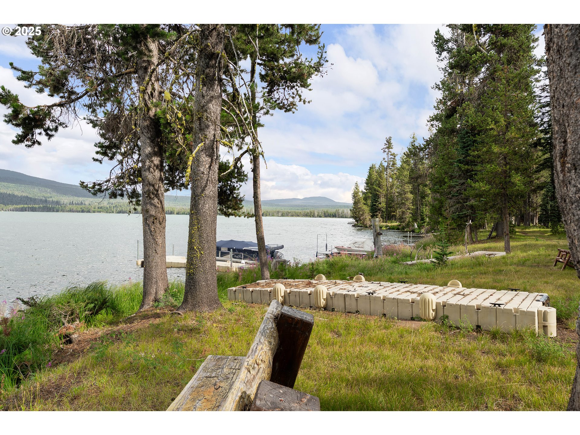 85 Diamond Lake Loop Chemult, OR 97731 - Photo 22 of 40 a view of yard with lake and trees