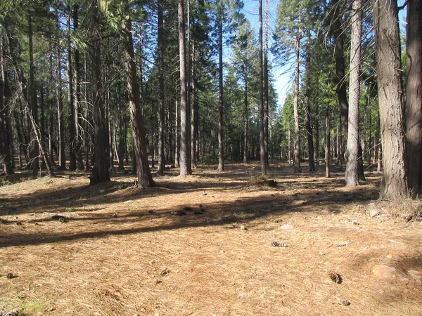a view of a house with a trees