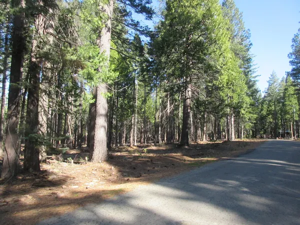 a view of road space with trees