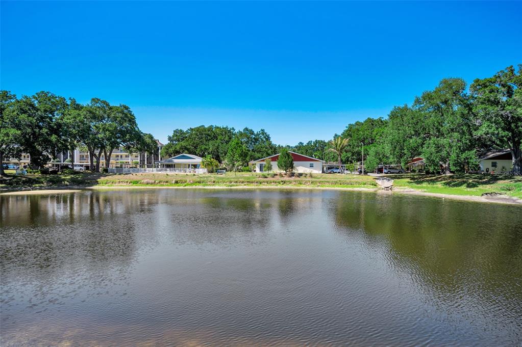 936 Virginia Street, Unit 201 Dunedin, FL 34698 - Photo 26 of 43