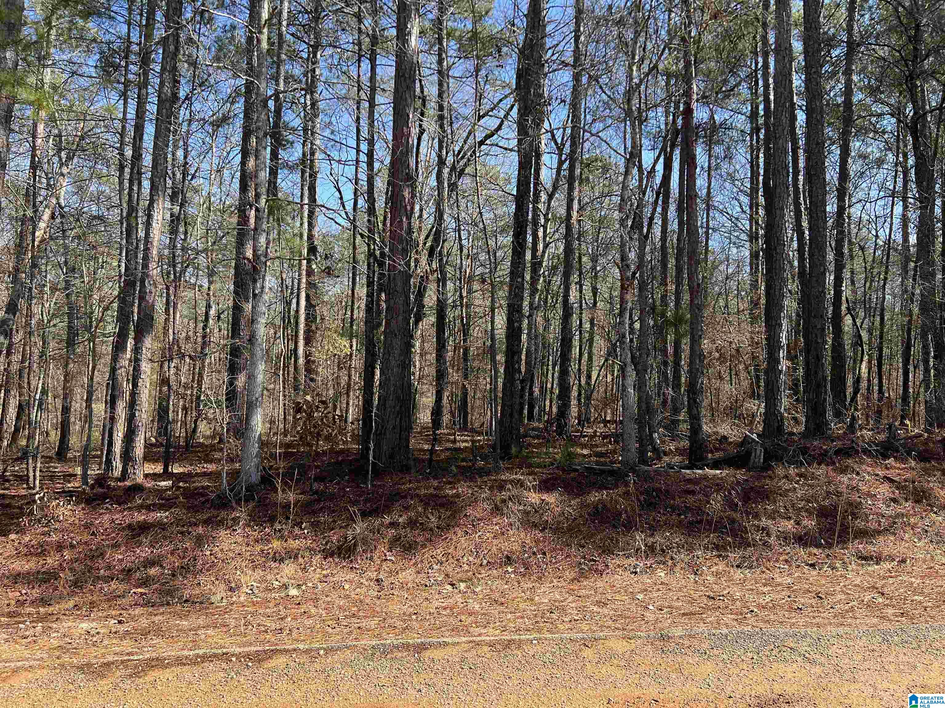 Lot 210 Greenbriar Road, Unit 210 Talladega, AL 35160 - Photo 4 of 5