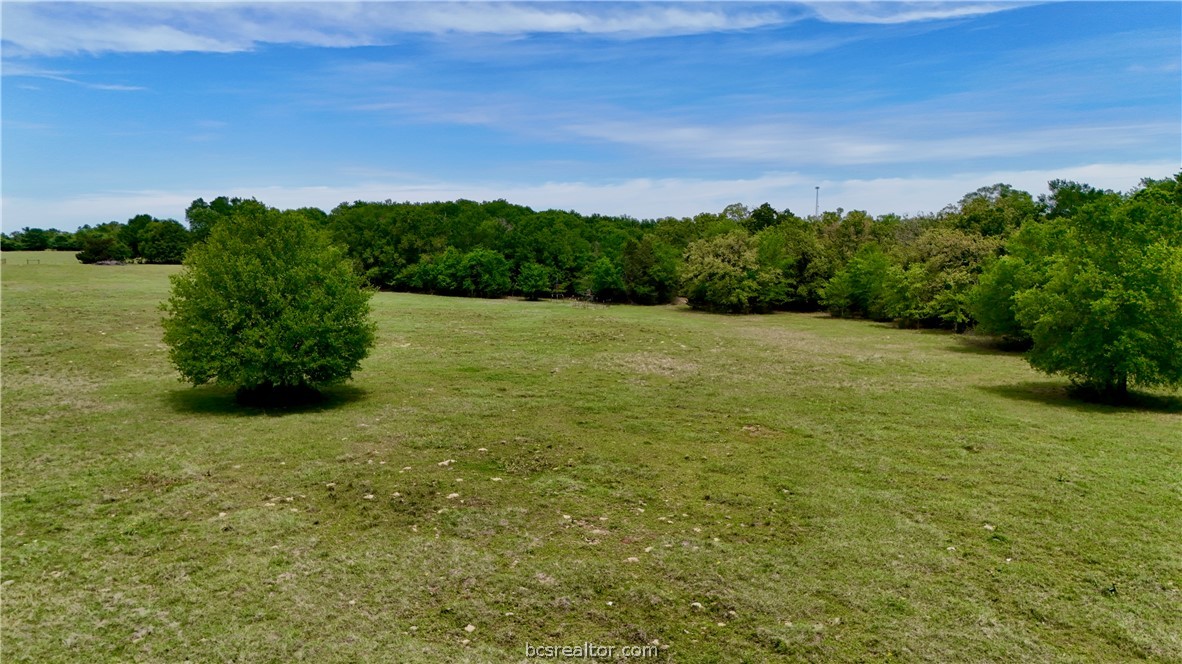 10432 Sammys Road Bremond, TX 76629 - Photo 42 of 47 a view of an outdoor space and a yard
