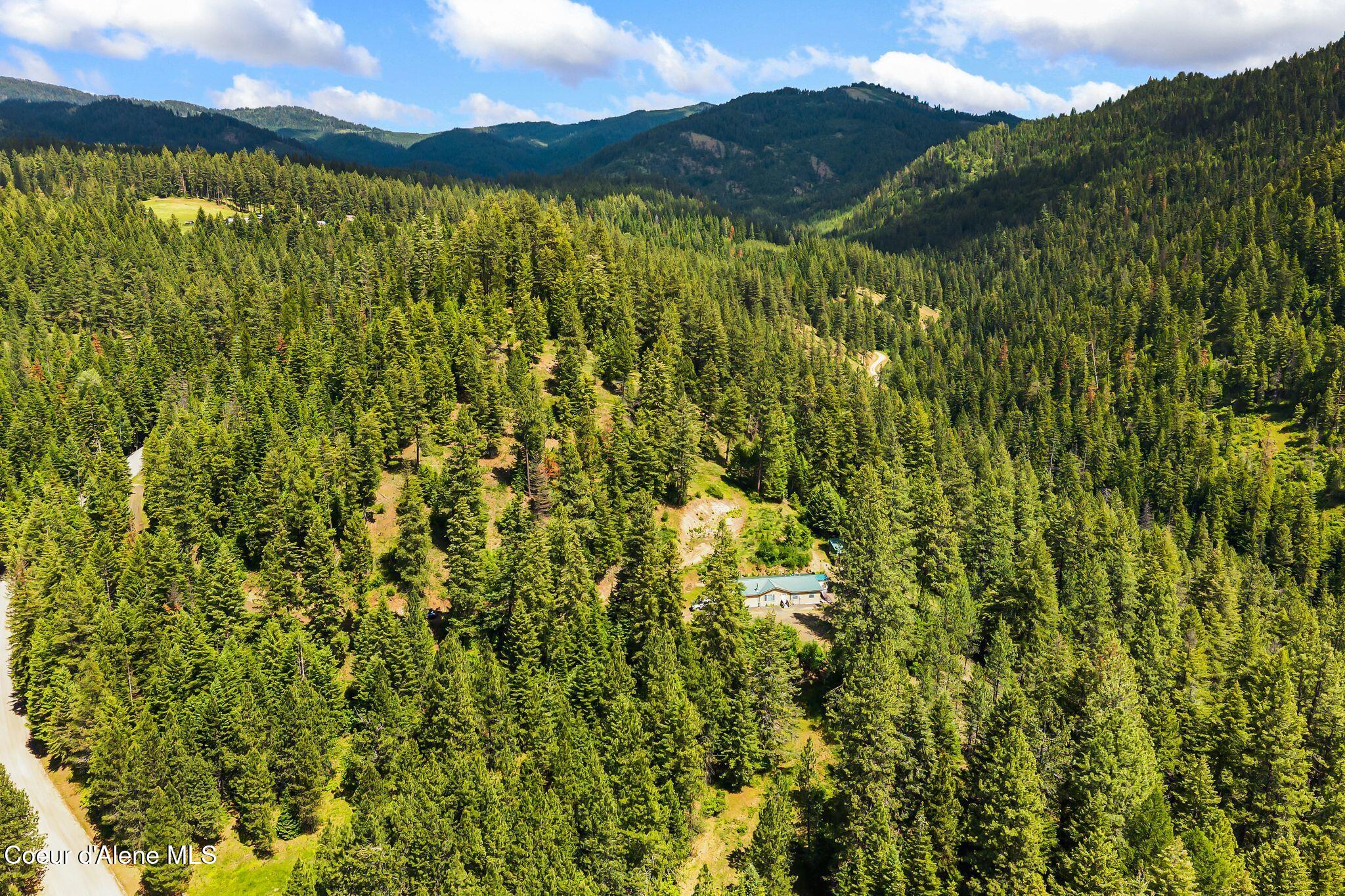 4304 South Elk Road Harrison, ID 83833 - Photo 37 of 39 33_DJI_20260604132948_0187_D