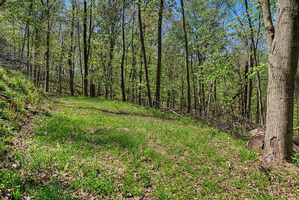 70-ac Harris Road La Farge, WI 54639 - Photo 59 of 67 Gallery Image 59