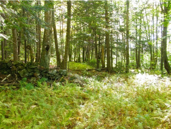 1190 Wheeler Road Windham, VT 05359 - Photo 4 of 11