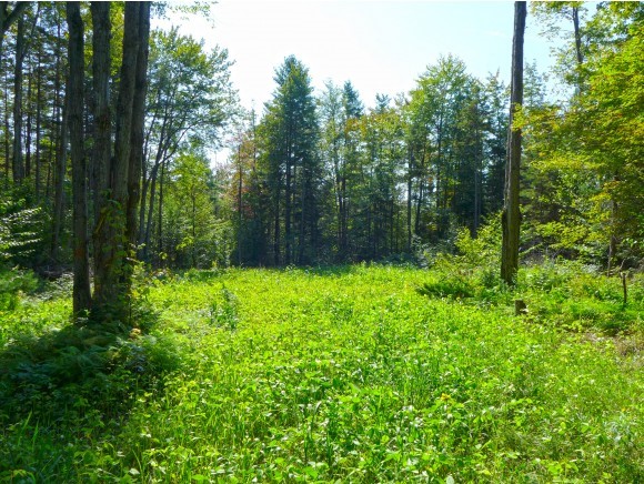 1190 Wheeler Road Windham, VT 05359 - Photo 5 of 11