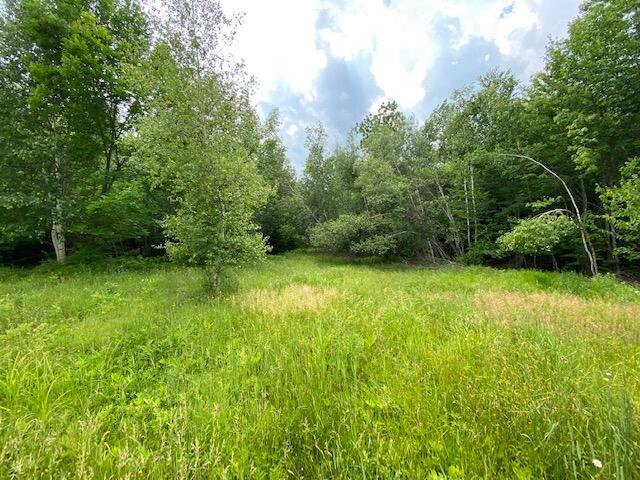 6142 Steward Road Monson, ME 04464 - Photo 8 of 26 IMG_2939