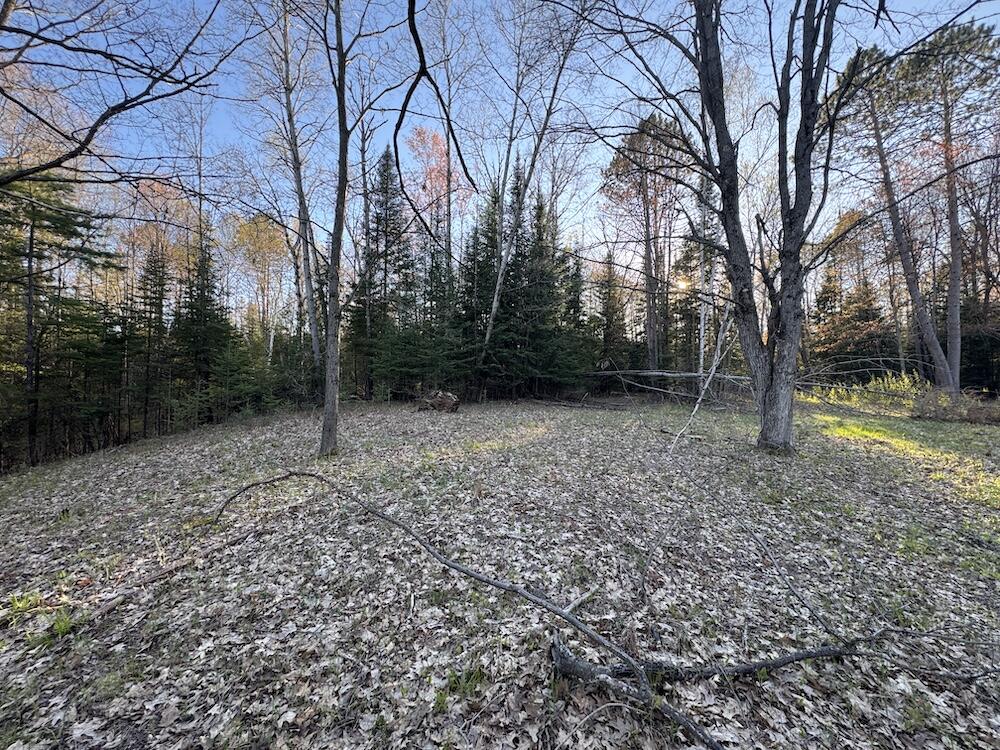 Lot 1 V/l Wildwood Road Alger, MI 48610 - Photo 20 of 35 IMG_2882