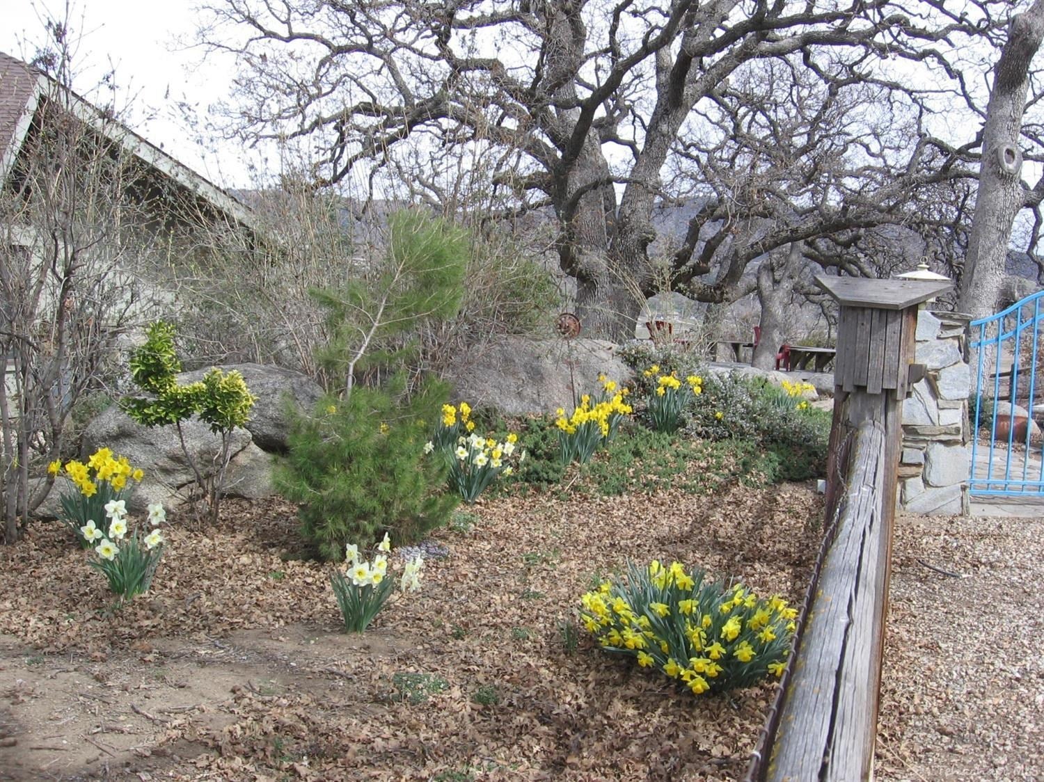 28250 Cumberland Road Tehachapi, CA 93561 - Photo 67 of 68 Gallery Image 67