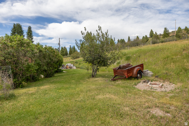 322 Bailey Creek Road Soda Springs, ID 83276 - Photo 31 of 32 Expansive grassy terrain featuring mature trees and a sloped landscape