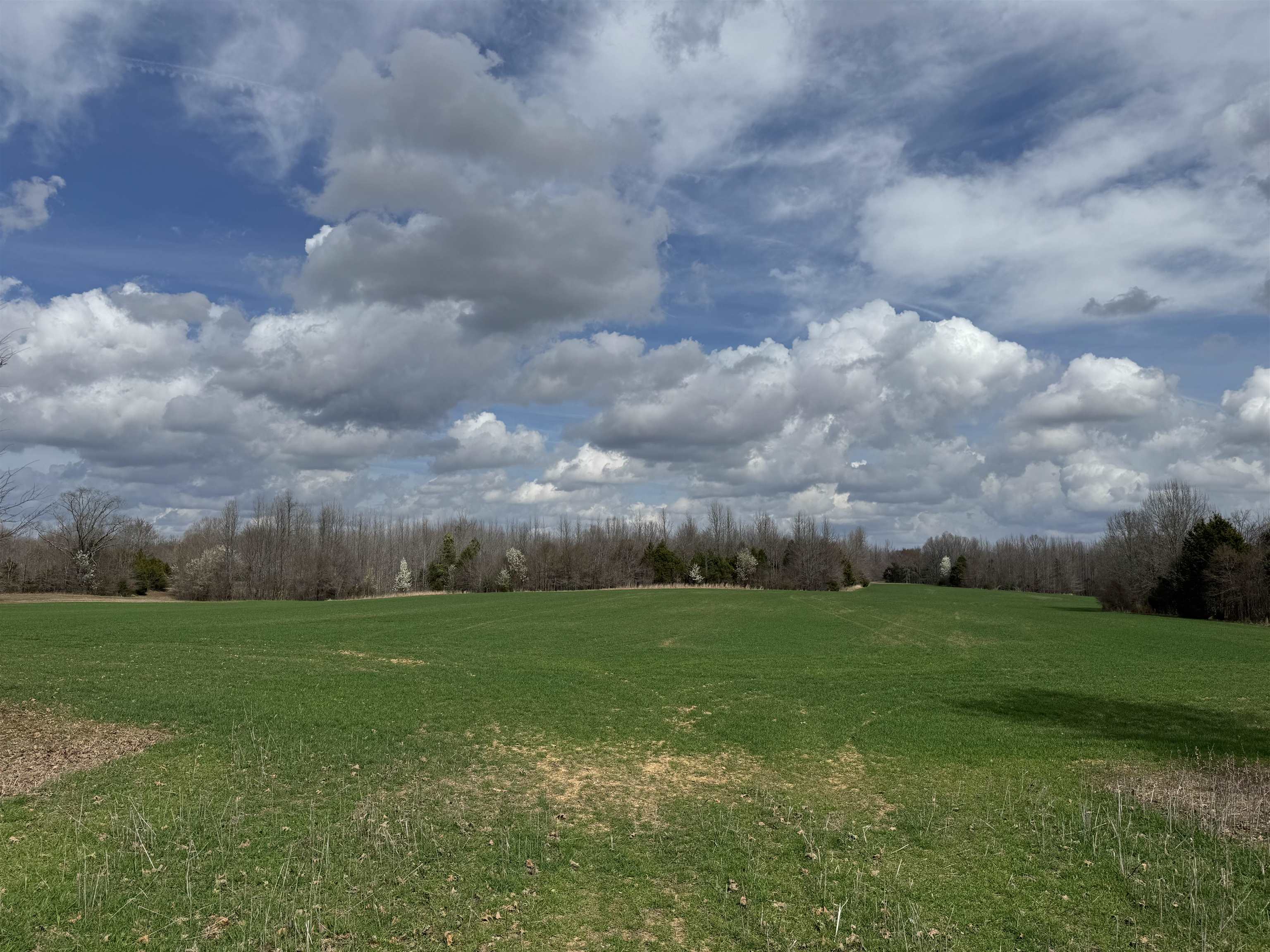 Frazier Road Rossville, TN 38066 - Photo 11 of 12 Gallery Image 11