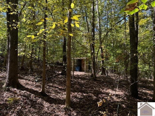 0 Corner Of A R Briggs Road Cadiz, KY 42211 - Photo 21 of 35 Photo 21
