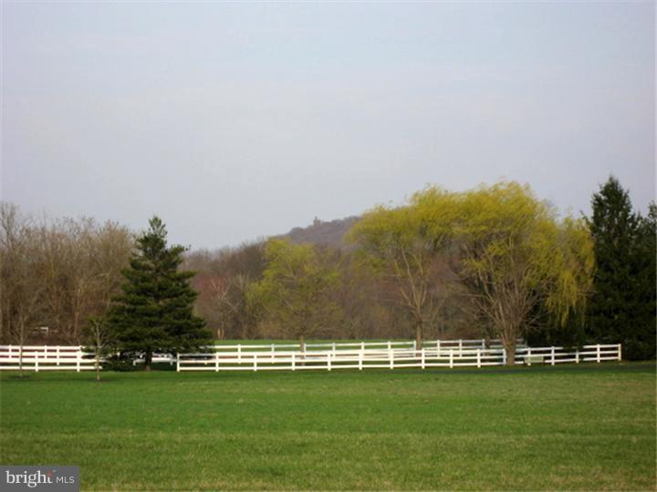 3174 Windy Bush Road New Hope, PA 18938 - Photo 3 of 6