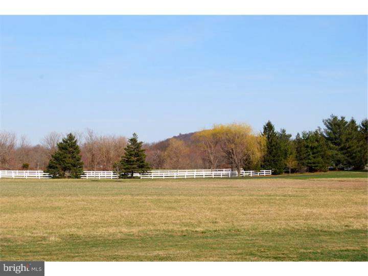 3174 Windy Bush Road New Hope, PA 18938 - Photo 5 of 6