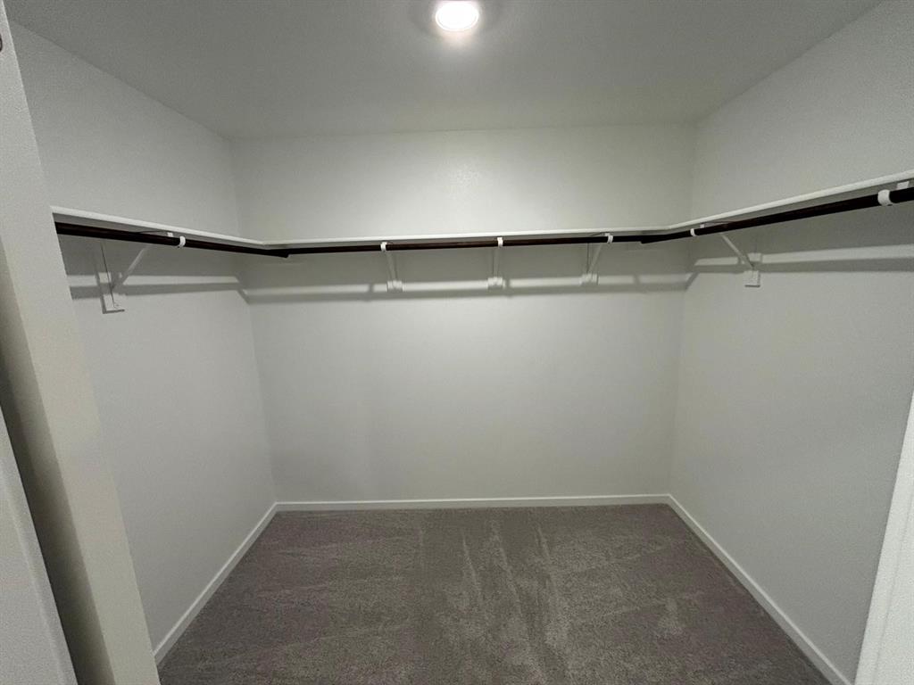 9204 Schram Road Fort Worth, TX 76179 - Photo 11 of 17 Walk-in closet featuring white walls, gray carpet, and a built-in shelving system with hanging rods