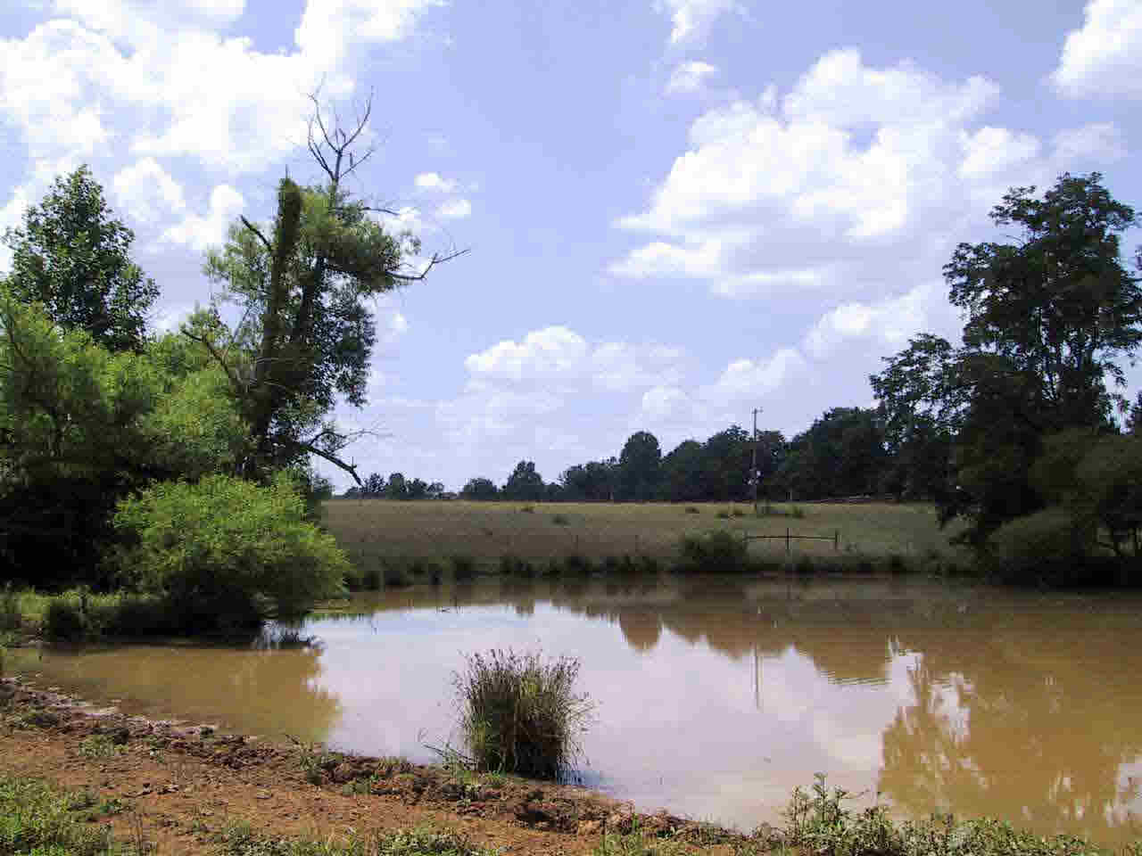 122236 Dolley Madison Road Orange, VA 22960 - Photo 1 of 1 Gallery Image 1