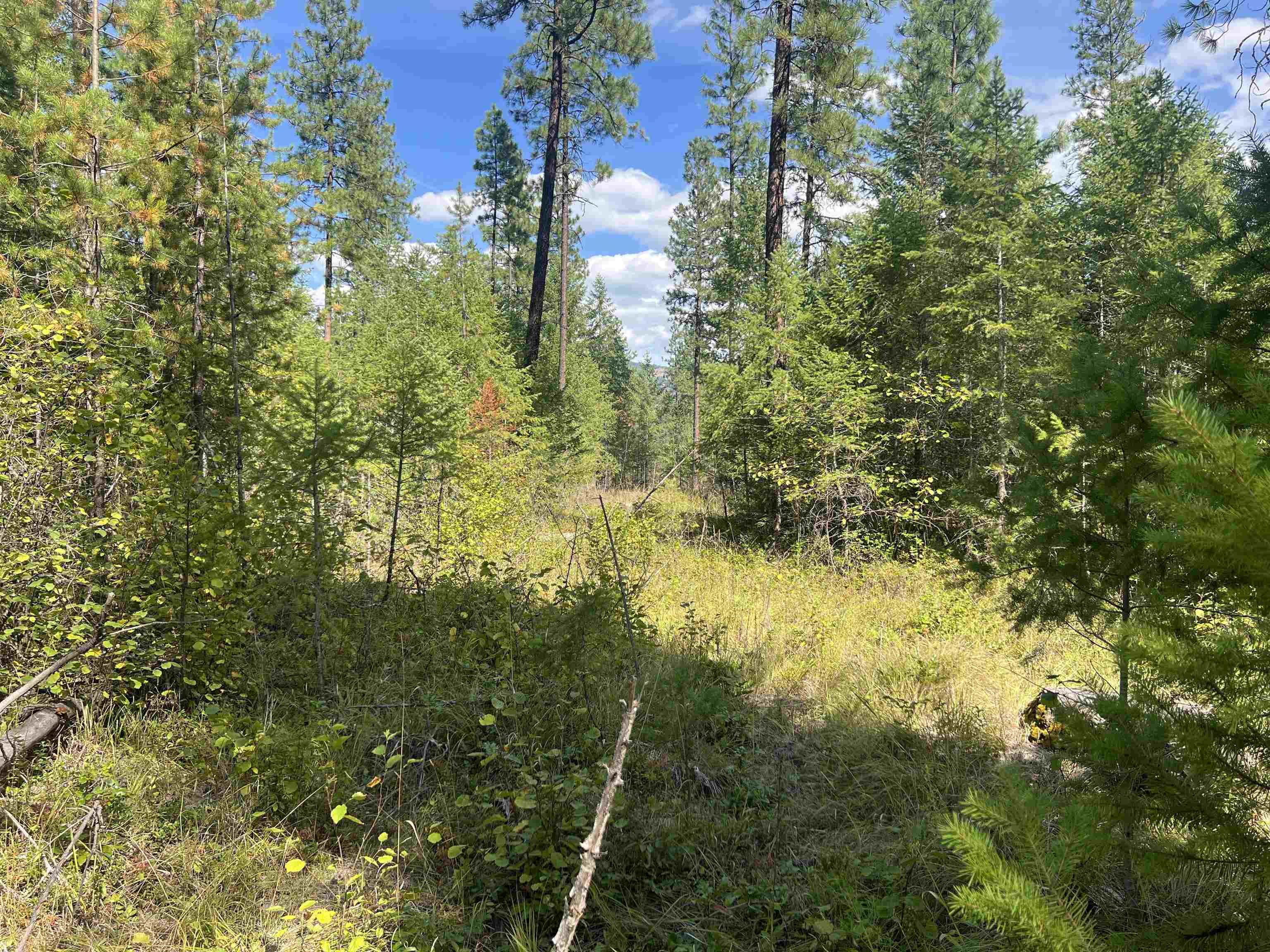 47 Steacker Road Kettle Falls, WA 99141 - Photo 46 of 48