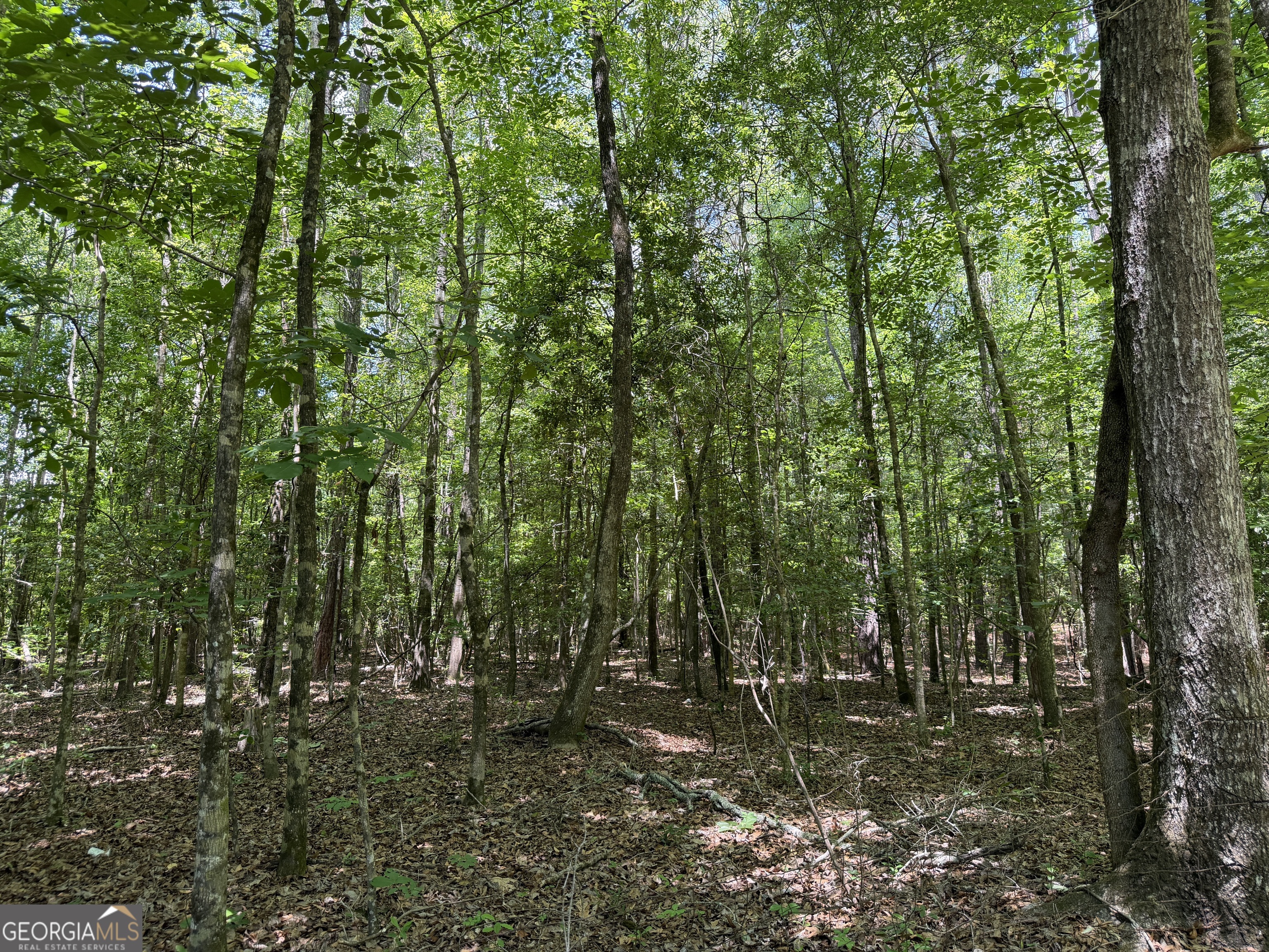 10 Long Branch Road Toomsboro, GA 31090 - Photo 5 of 6
